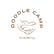 doodlecamp.pl